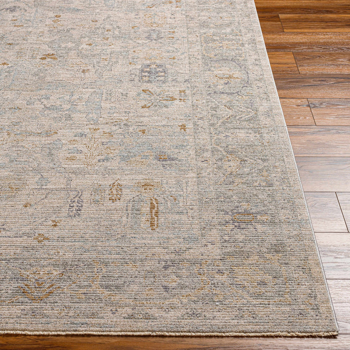 Ayarn Traditional Style Beige And Gray Area Rug