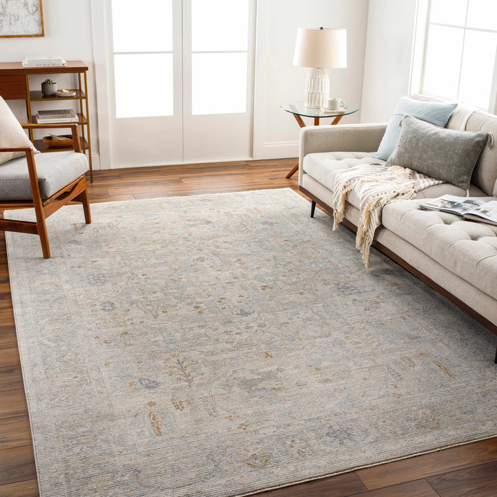 Ayarn Traditional Style Beige And Gray Area Rug