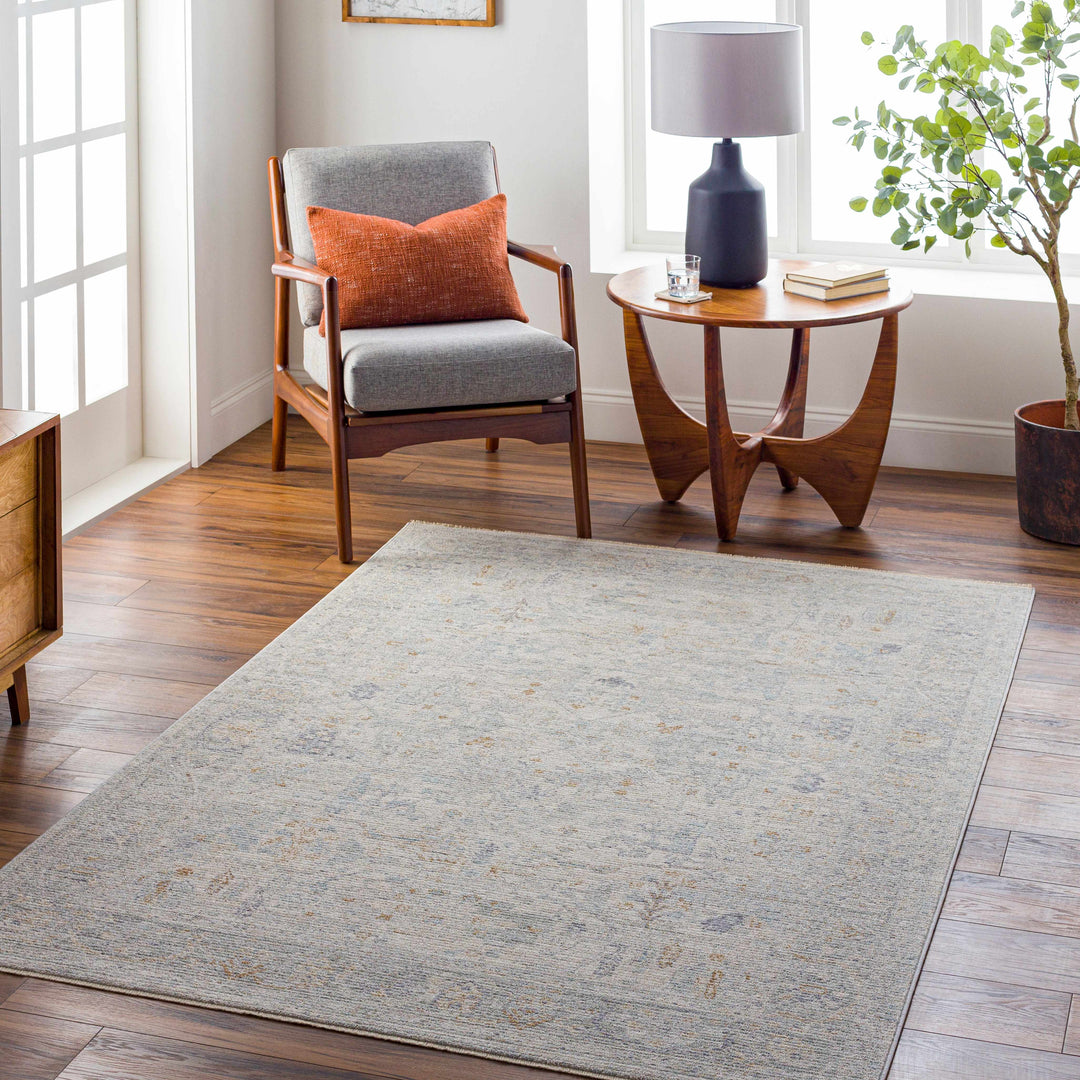 Ayarn Traditional Style Beige And Gray Area Rug