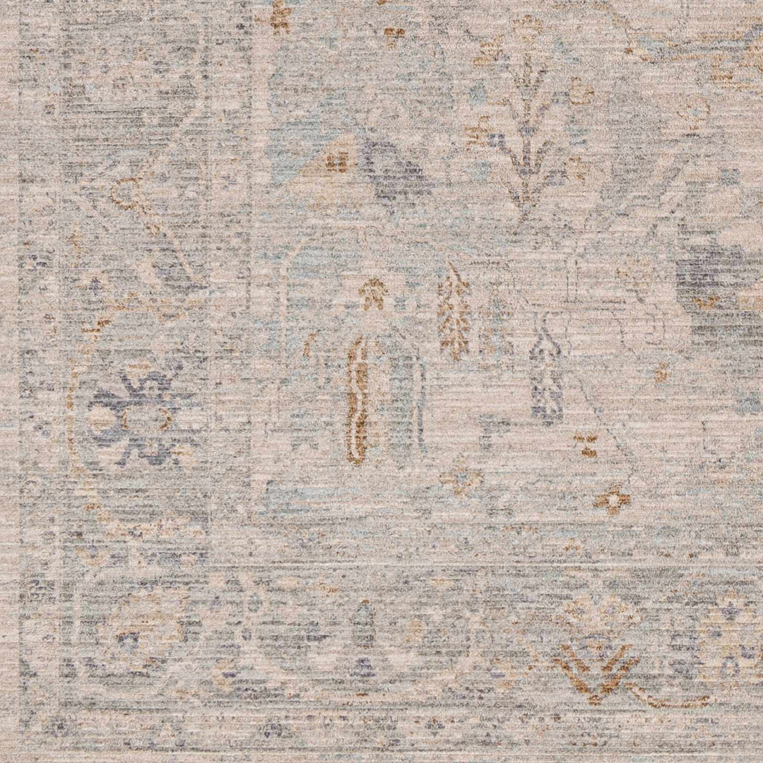 Ayarn Traditional Style Beige And Gray Area Rug