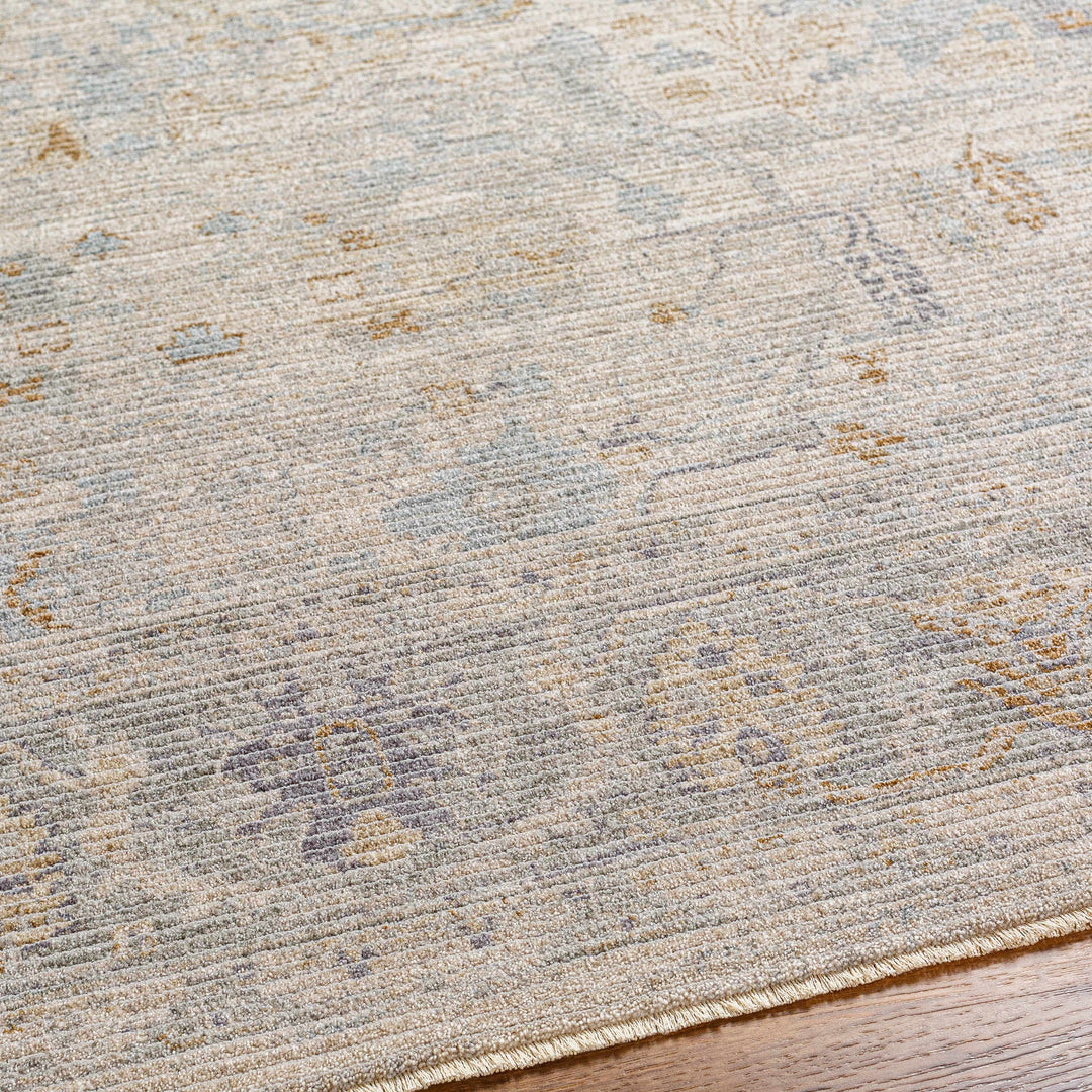 Ayarn Traditional Style Beige And Gray Area Rug