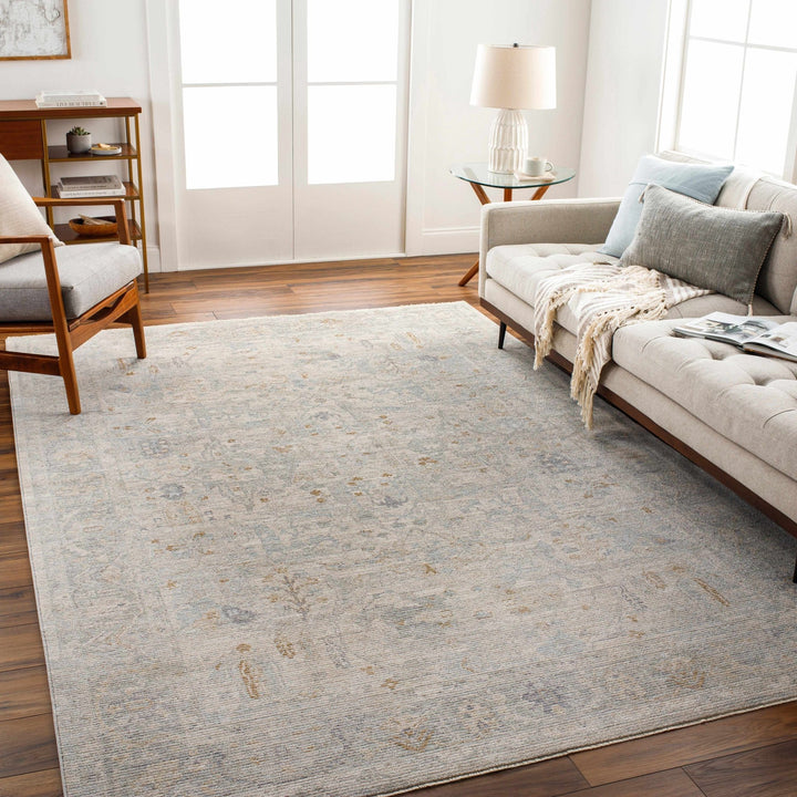 Ayarn Traditional Style Beige And Gray Area Rug - The Rug Decor