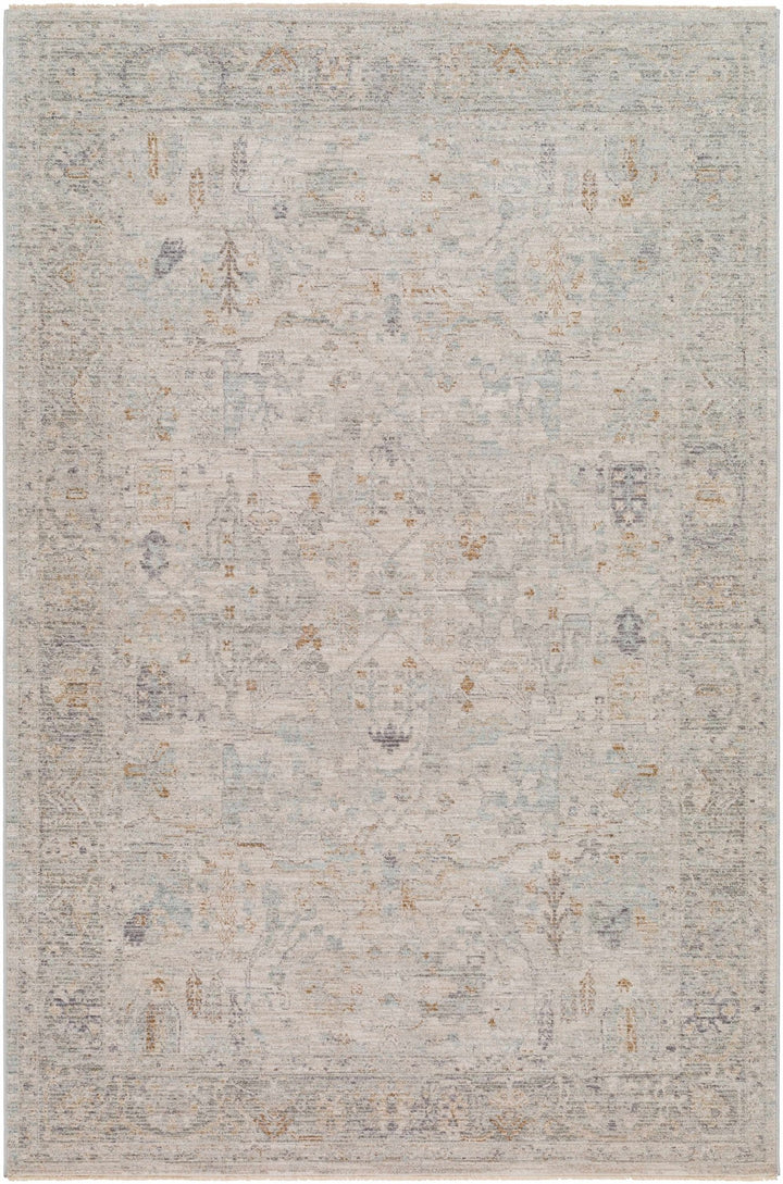 Ayarn Traditional Style Beige And Gray Area Rug - The Rug Decor
