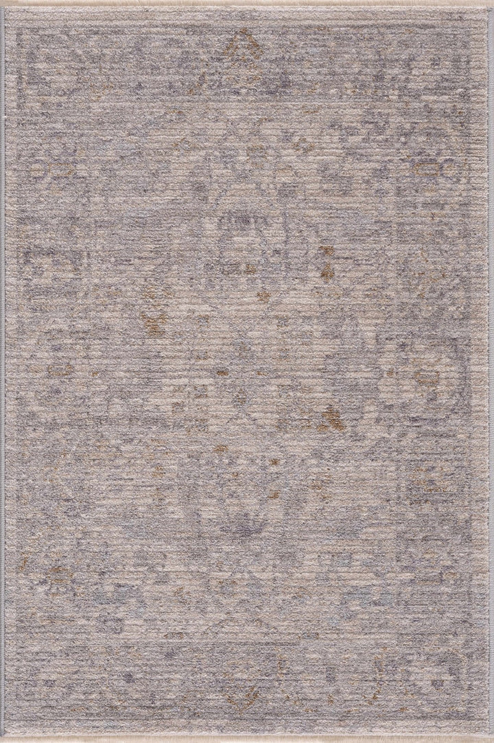 Ayarn Traditional Style Beige And Gray Area Rug - The Rug Decor