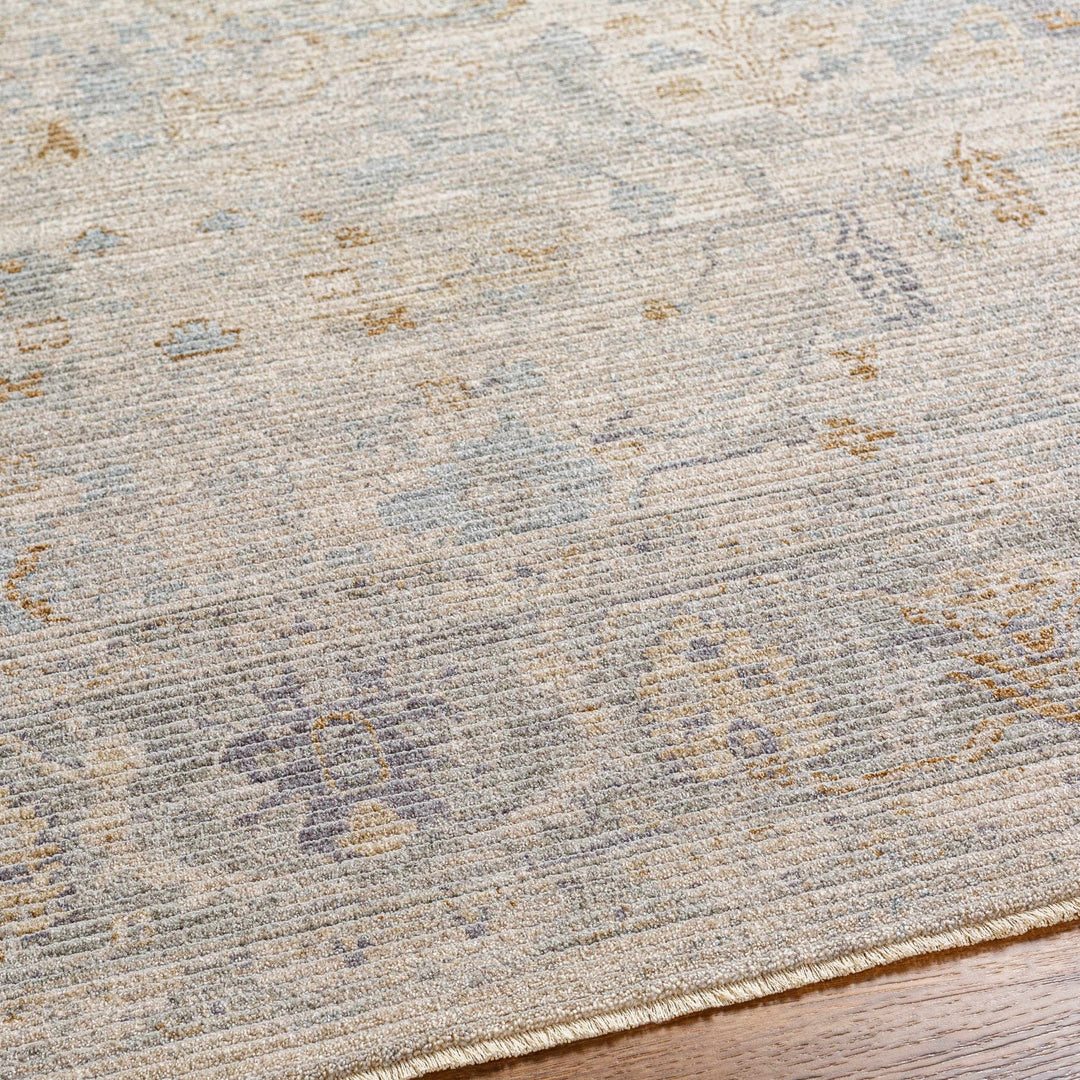 Ayarn Traditional Style Beige And Gray Area Rug - The Rug Decor