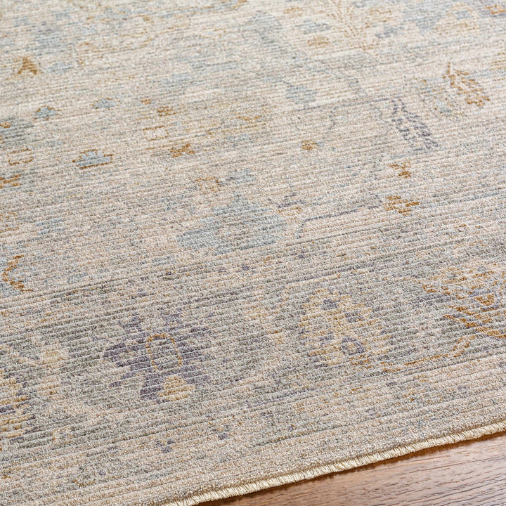 Ayarn Traditional Style Beige And Gray Area Rug - The Rug Decor