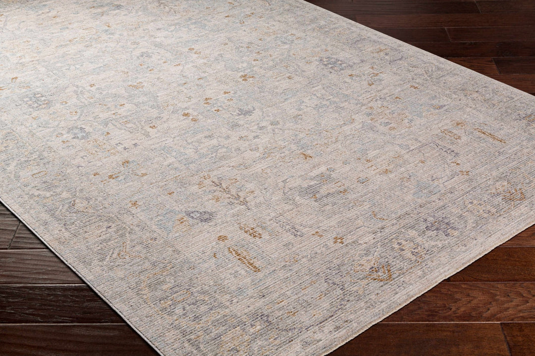 Ayarn Traditional Style Beige And Gray Area Rug - The Rug Decor