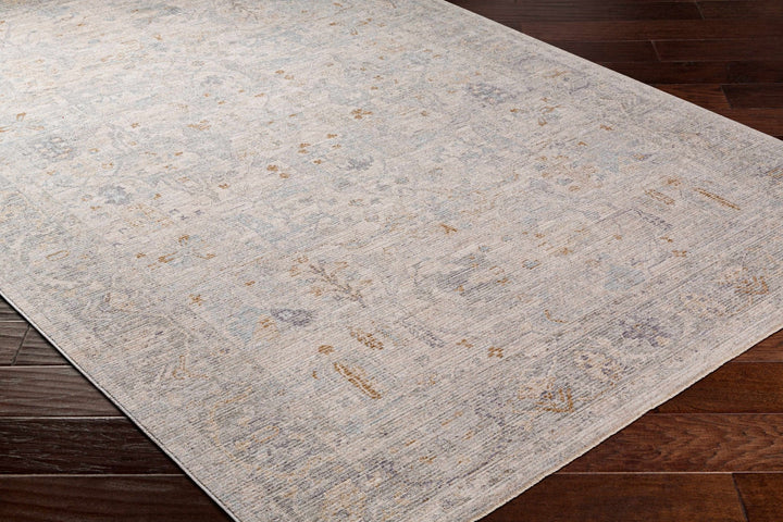 Ayarn Traditional Style Beige And Gray Area Rug - The Rug Decor