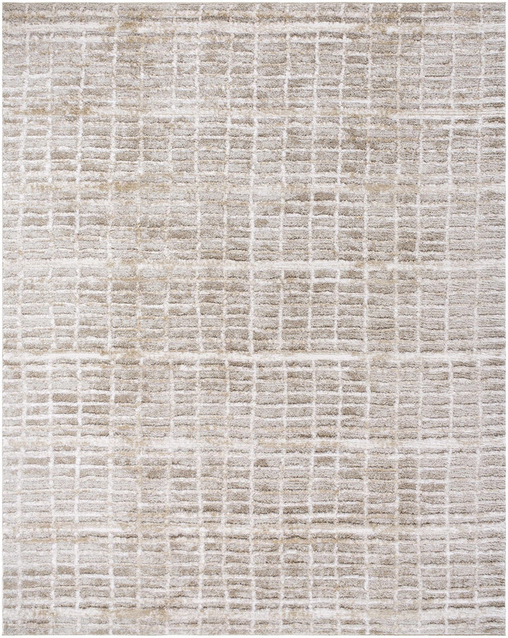 Ayashe Bohemian Transitional Design Beige Machine Woven Shag Rug - The Rug Decor