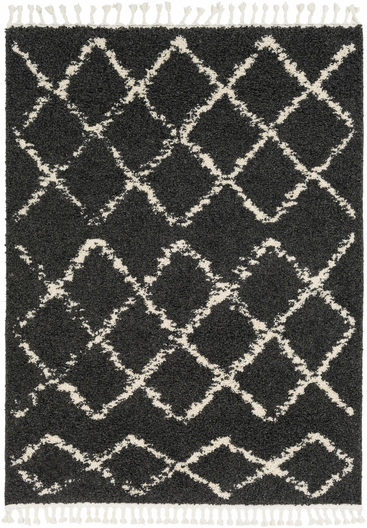 Ayden Black And Beige Modern Style Area Rug - The Rug Decor