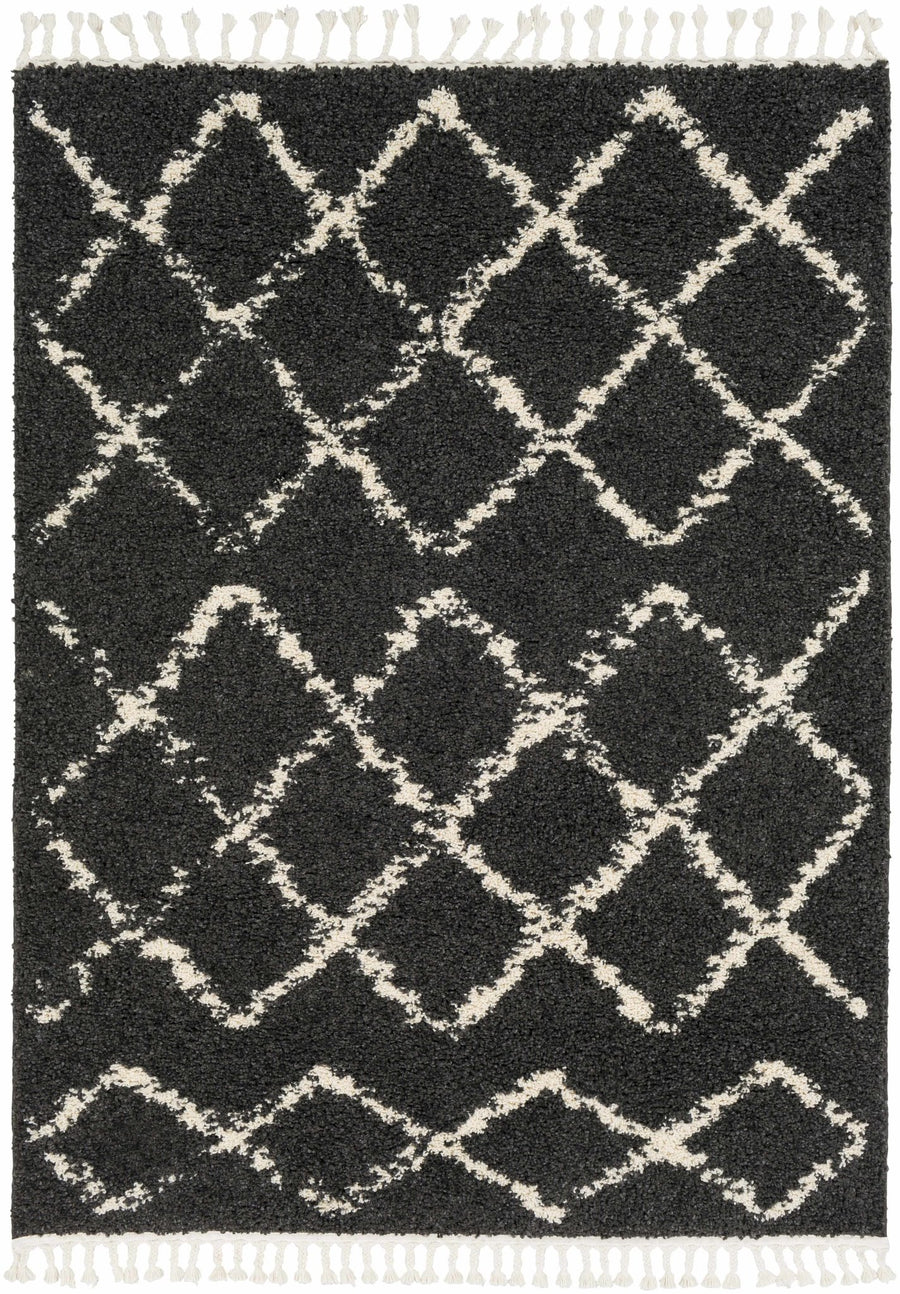 Ayden Black And Beige Modern Style Area Rug - The Rug Decor