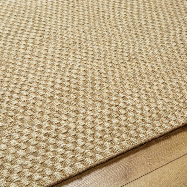 Ayers Contemporary Tan And Beige Area Rug - The Rug Decor