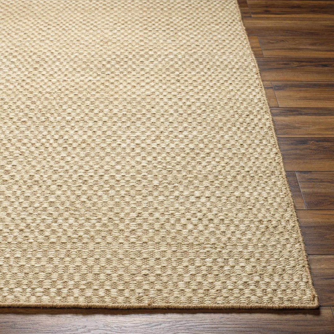 Ayers Contemporary Tan And Beige Area Rug - The Rug Decor