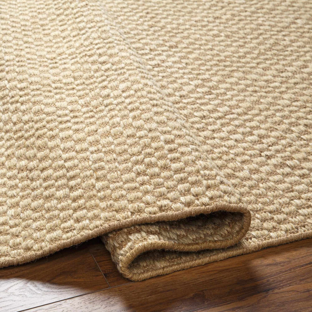 Ayers Contemporary Tan And Beige Area Rug - The Rug Decor
