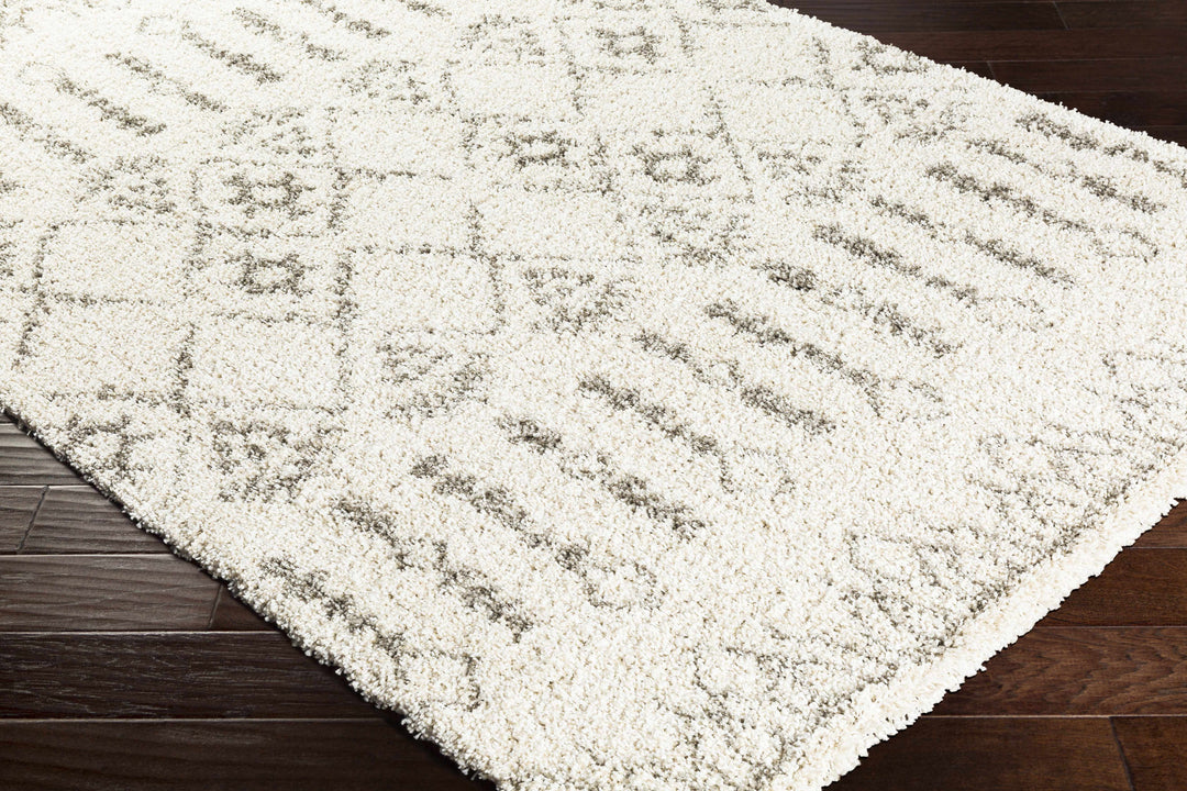Aylett Ivory And Charcoal Modern Style Area Rug