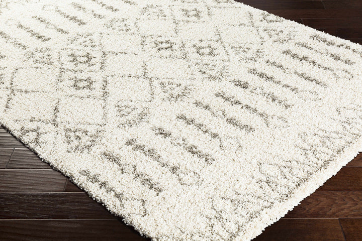 Aylett Ivory And Charcoal Modern Style Area Rug