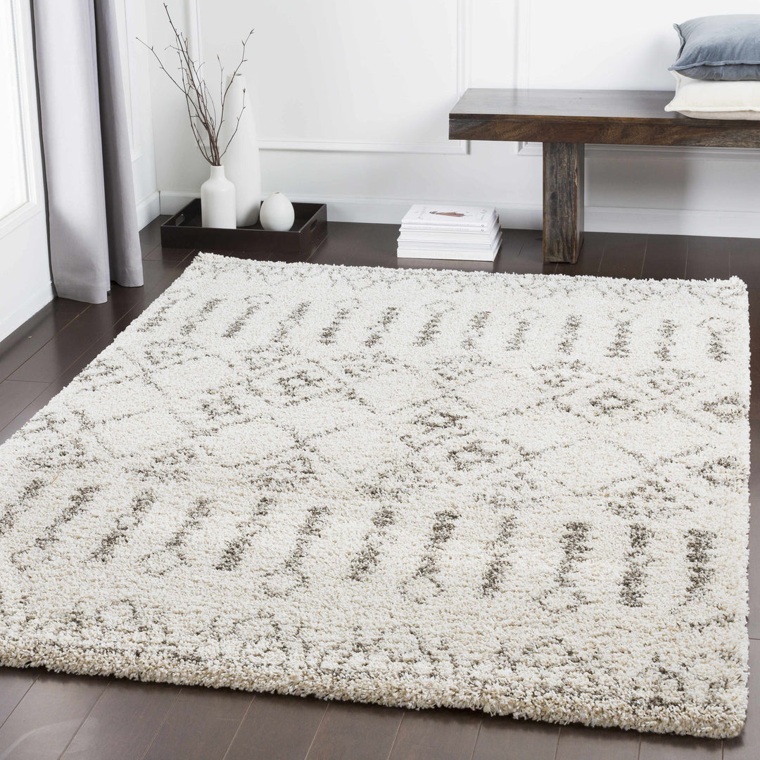 Aylett Ivory And Charcoal Modern Style Area Rug