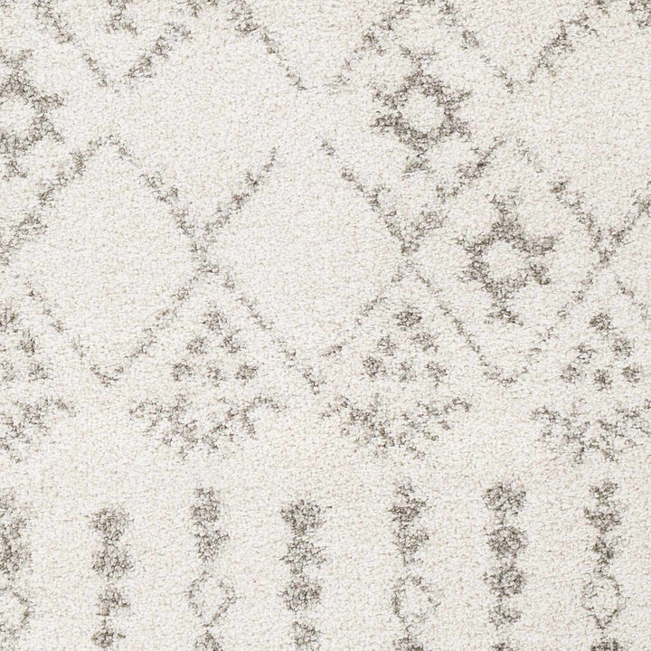 Aylett Ivory And Charcoal Modern Style Area Rug
