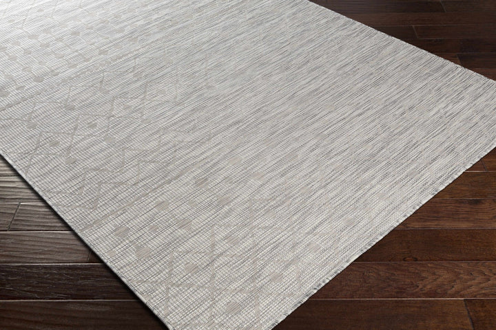 Ayr Modern Style Gray Outdoor Area Rug - The Rug Decor