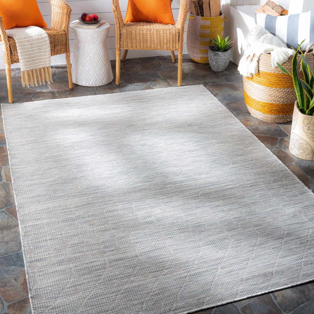Ayr Modern Style Gray Outdoor Area Rug - The Rug Decor
