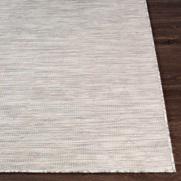 Ayr Modern Style Gray Outdoor Area Rug - The Rug Decor