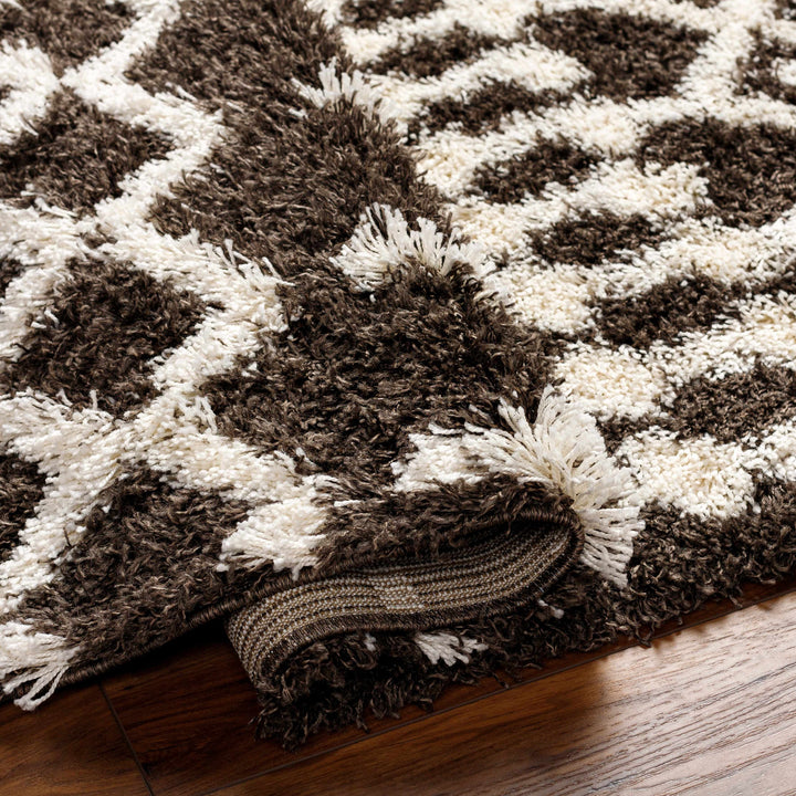 Aysel Contemporary Brown And White Area Rug
