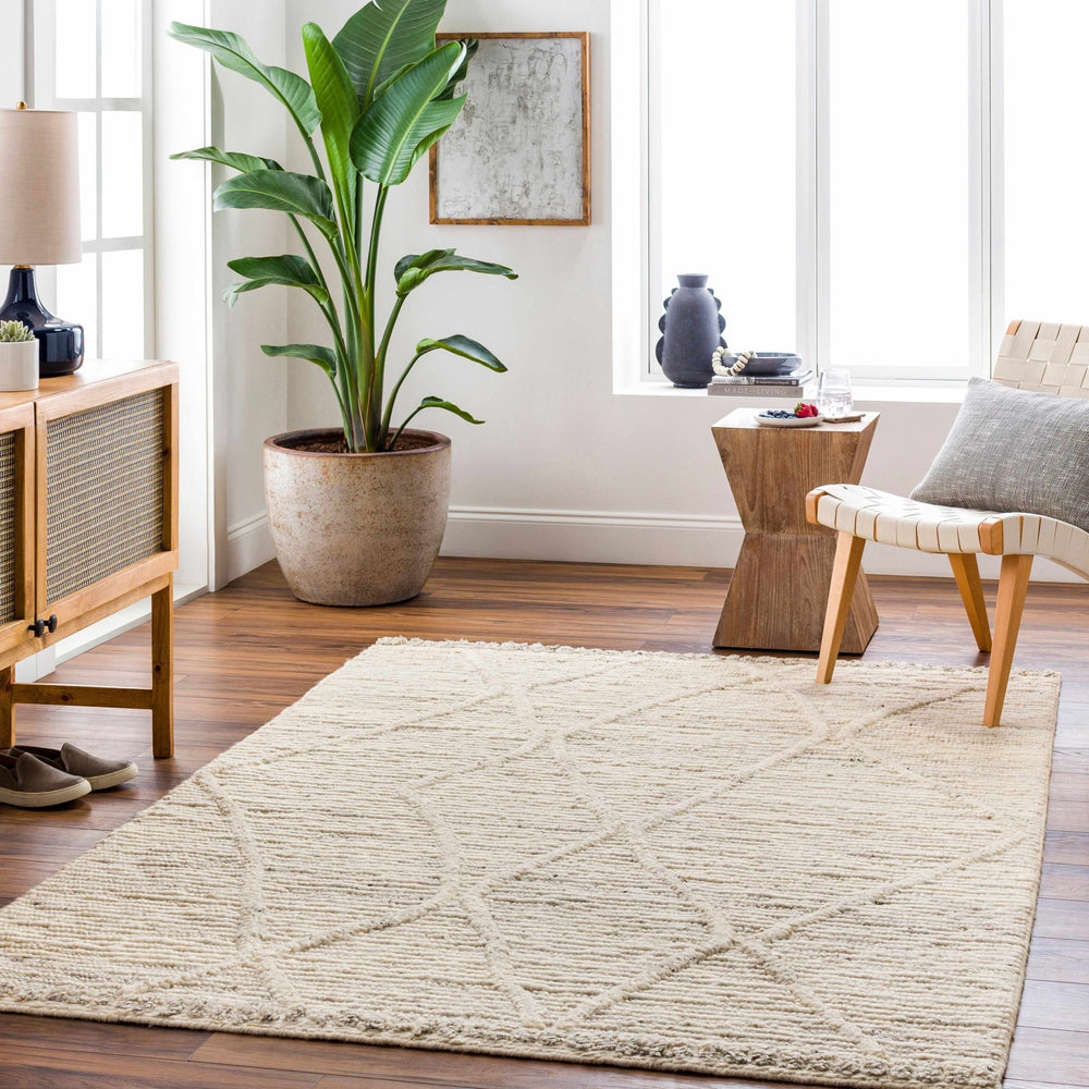 Aysu Contemporary Geometrical Beige Rug - The Rug Decor