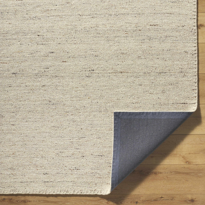 Ayumu Modern Solid Ivory Area Rug - The Rug Decor