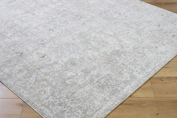 Azania Traditional Beige And Gray Area Rug - The Rug Decor