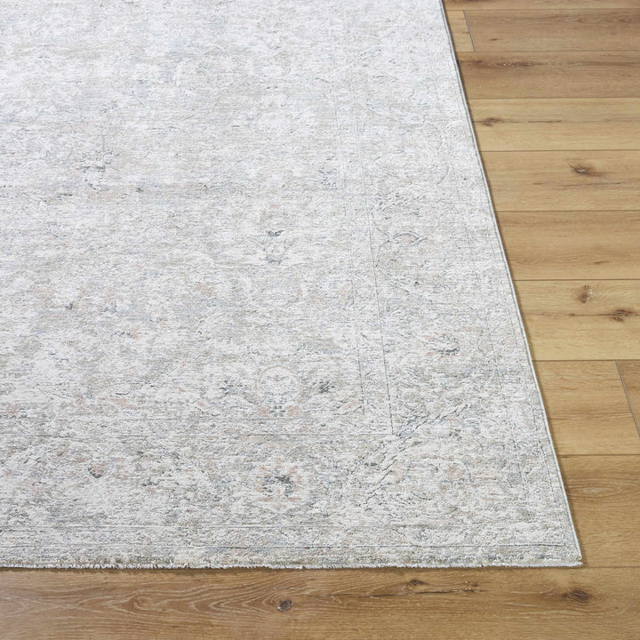 Azania Traditional Beige And Gray Area Rug - The Rug Decor