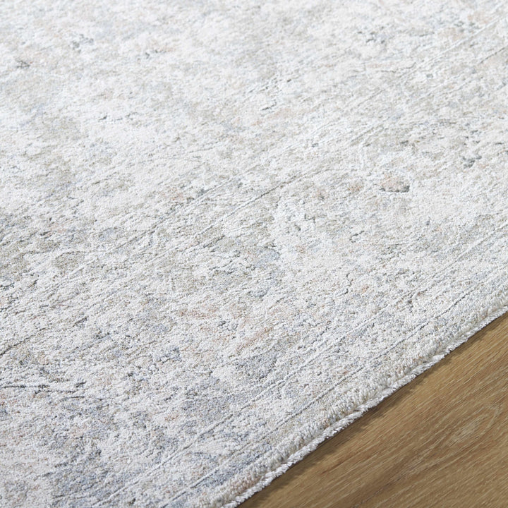 Azania Traditional Beige And Gray Area Rug - The Rug Decor