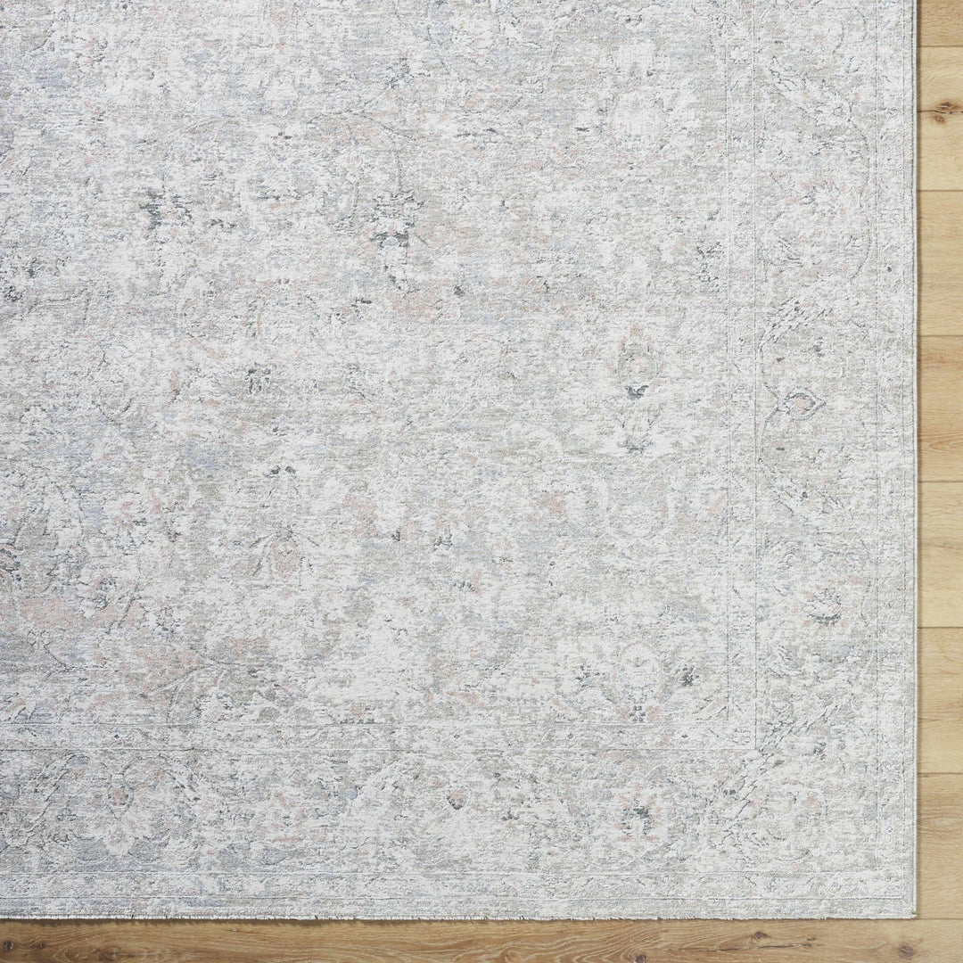 Azania Traditional Beige And Gray Area Rug - The Rug Decor