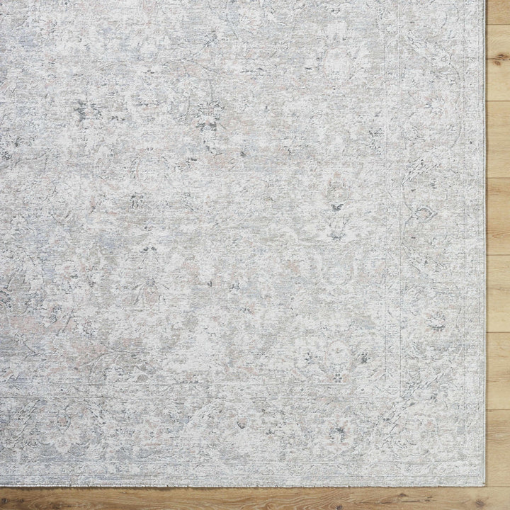 Azania Traditional Beige And Gray Area Rug - The Rug Decor