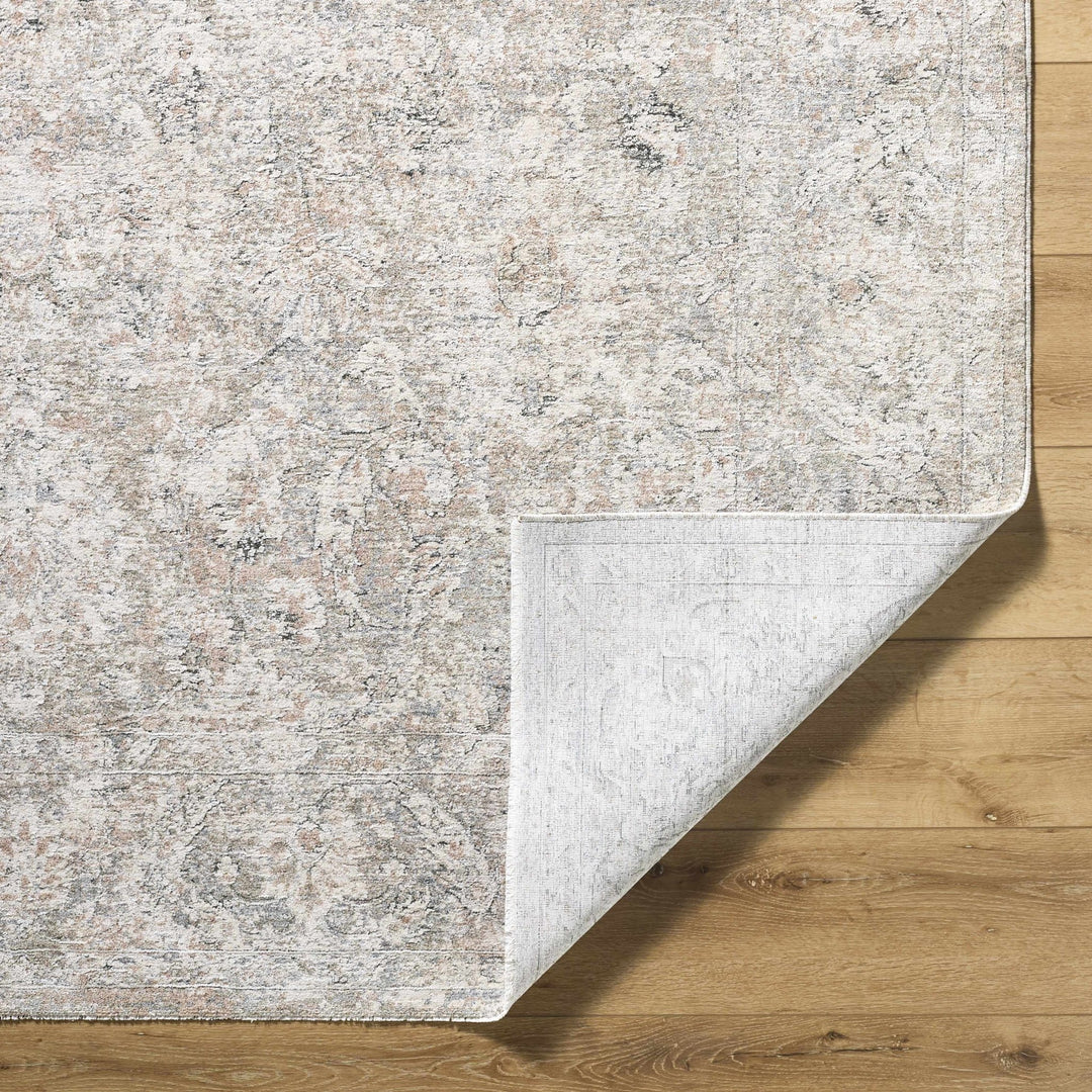 Azania Traditional Beige And Gray Area Rug - The Rug Decor