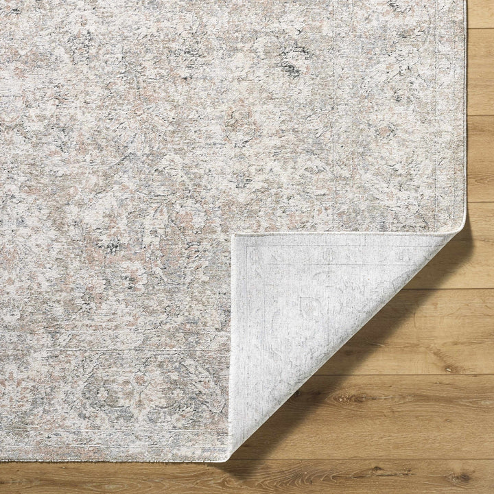 Azania Traditional Beige And Gray Area Rug - The Rug Decor