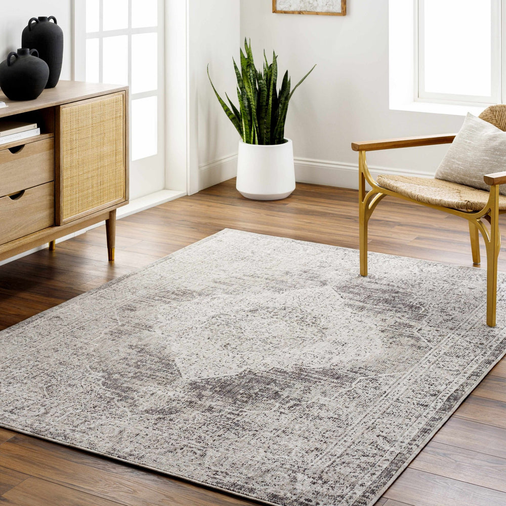 Azibo Traditional Medallion Design Beige & Gray Area Rug - The Rug Decor