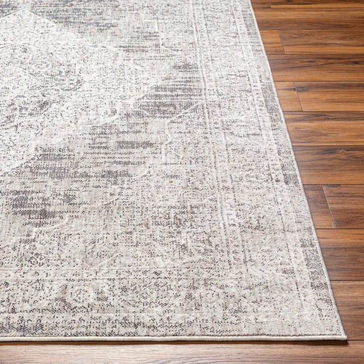 Azibo Traditional Medallion Design Beige & Gray Area Rug - The Rug Decor