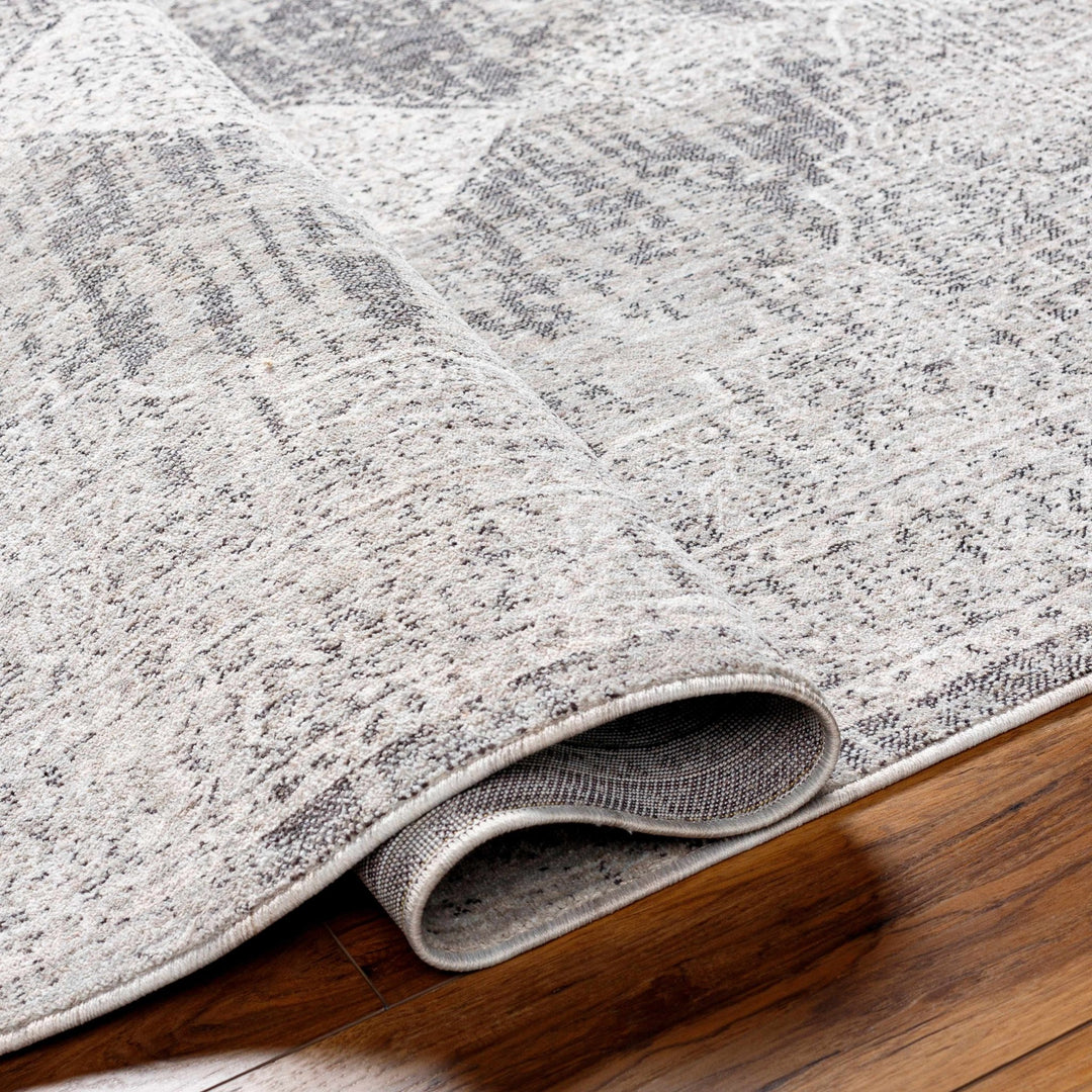 Azibo Traditional Medallion Design Beige & Gray Area Rug - The Rug Decor