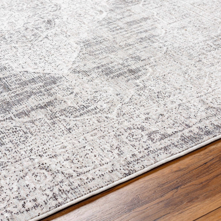 Azibo Traditional Medallion Design Beige & Gray Area Rug - The Rug Decor