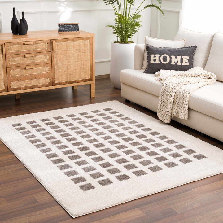Baback Modern Geometrical Beige And Charcoal Washable Area Rug - The Rug Decor