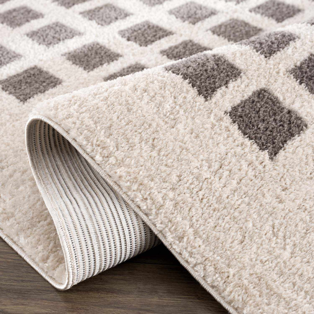 Baback Modern Geometrical Beige And Charcoal Washable Area Rug - The Rug Decor