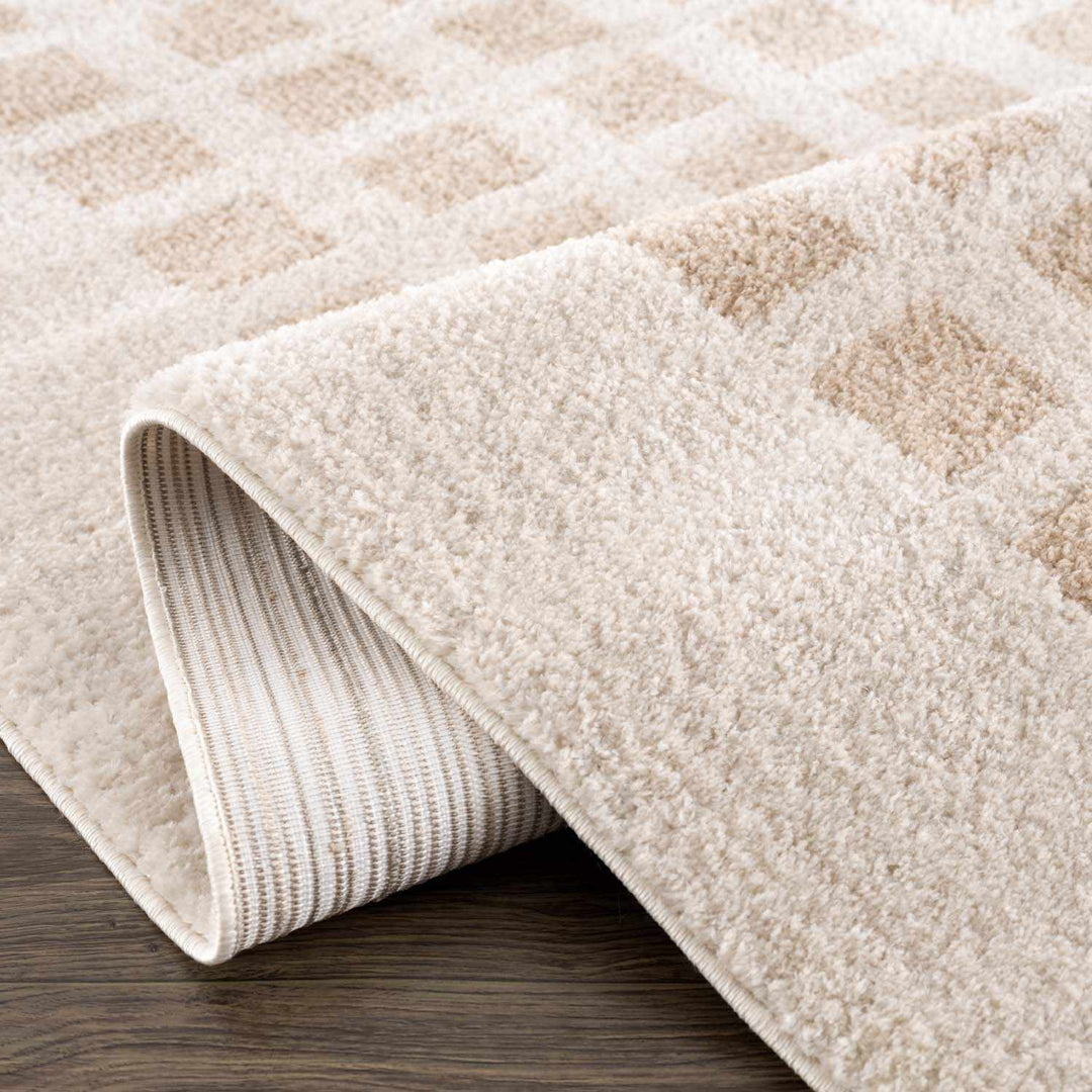 Baback Modern Geometrical Beige Washable Area Rug - The Rug Decor