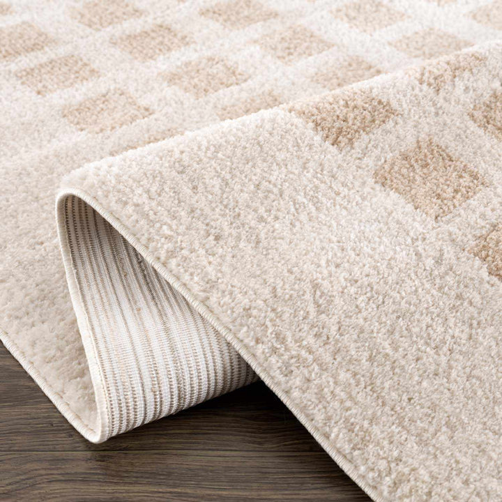 Baback Modern Geometrical Beige Washable Area Rug - The Rug Decor