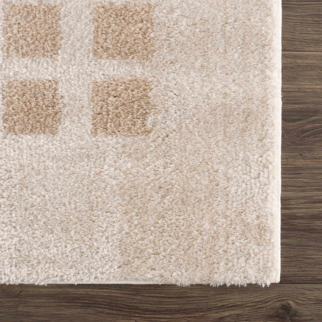 Baback Modern Geometrical Beige Washable Area Rug - The Rug Decor