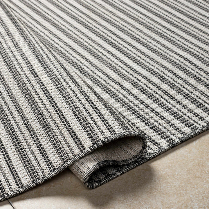 Baha Modern Stripes Design Beige And Black Area Rug - The Rug Decor