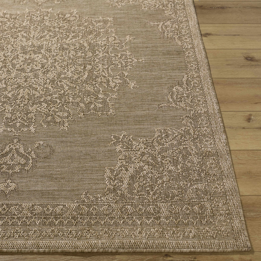 Bahula Traditional Style Brown Outdoor Area Rug - The Rug Decor
