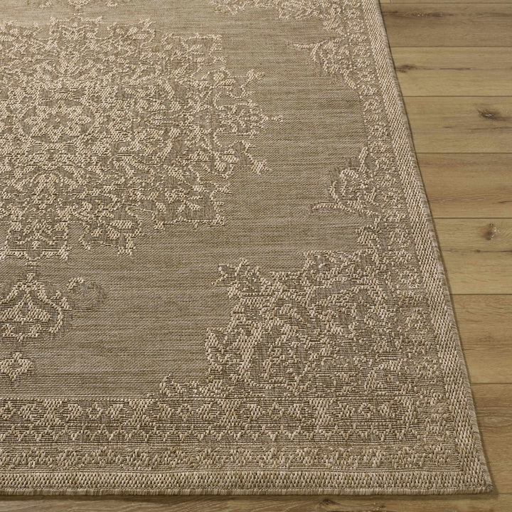 Bahula Traditional Style Brown Outdoor Area Rug - The Rug Decor