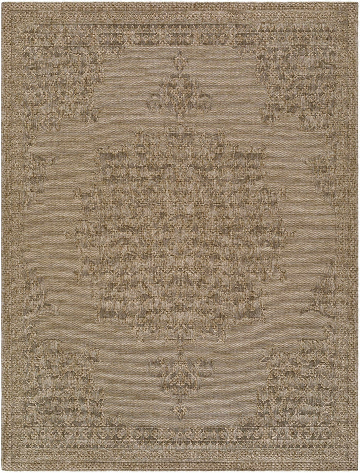 Bahula Traditional Style Brown Outdoor Area Rug - The Rug Decor