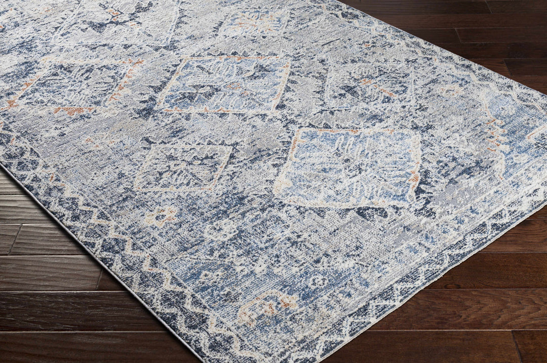 Balamban Gray And Blue Traditional Style Area Rug