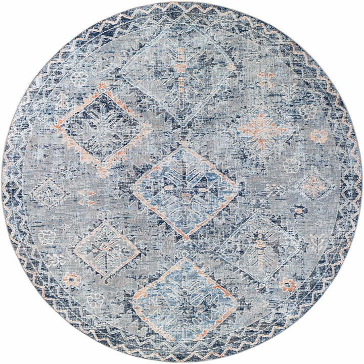 Balamban Gray And Blue Traditional Style Area Rug